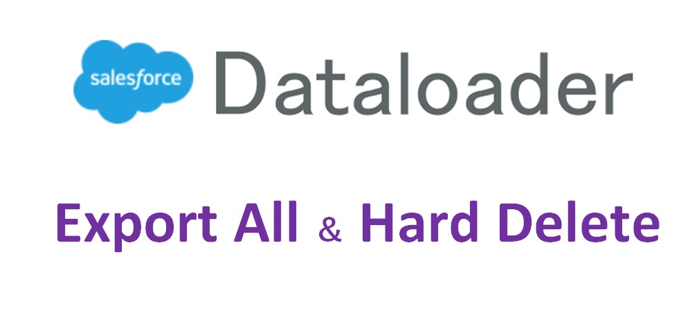 SalesforceのDataloaderの抽出と削除について